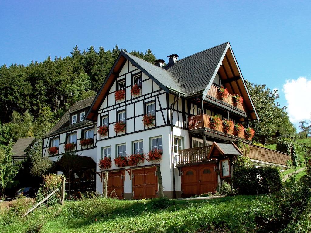Lauras Landhauspension Medebach Exterior foto